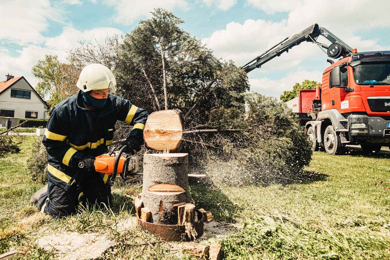 Best Stump Grinding Near Me  in Sugar Grove, IL